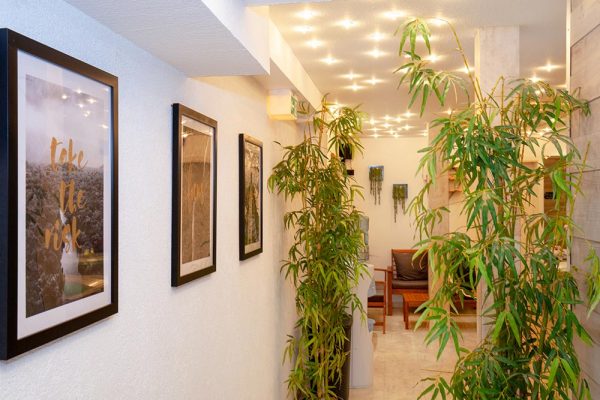 Eingang SPA Bereich Eingang SPA mit Bambus und Bildern